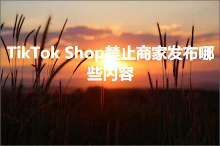 英文推广网站 跨境电商知识:TikTokShop禁止商家发布哪些内容